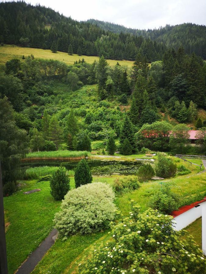 Grassegger Appartementhaus Sankt Johann am Tauern Экстерьер фото