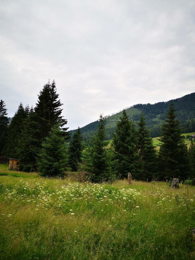Grassegger Appartementhaus Sankt Johann am Tauern Экстерьер фото